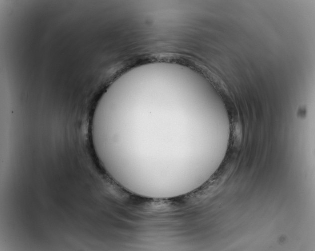 X0000103160668200808221153