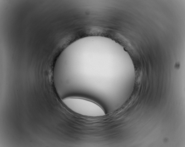 X0000103160669200808221153
