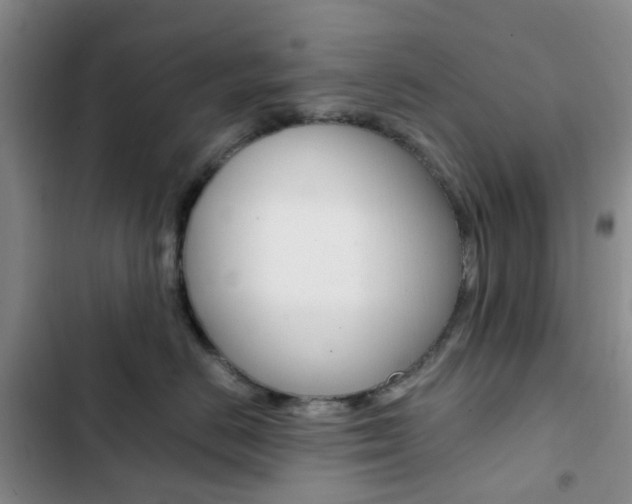 X0000103160670200808221154
