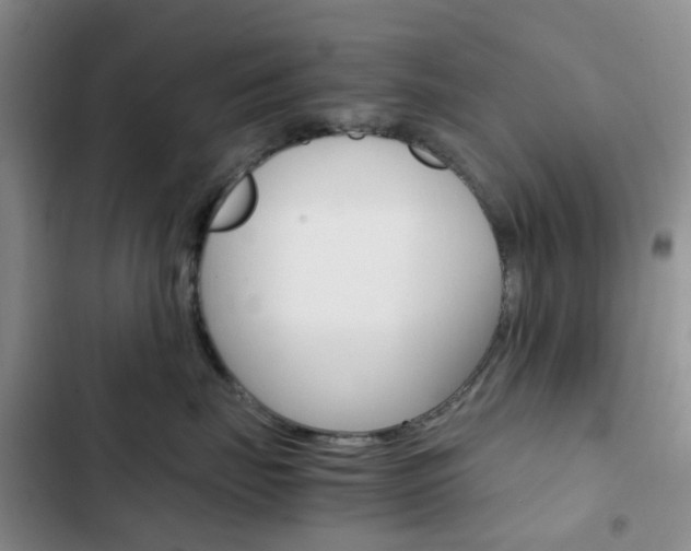 X0000103160671200808221154