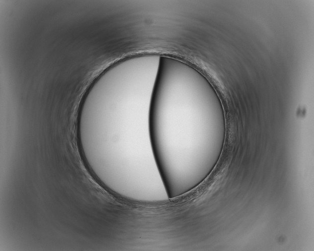 X0000103160673200808221152