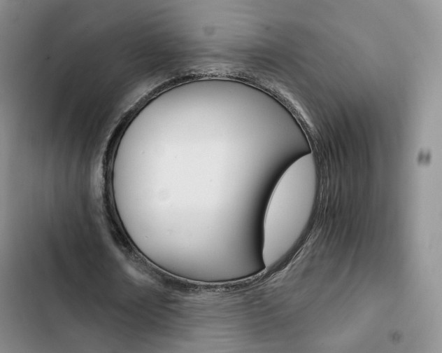 X0000103160674200808221152