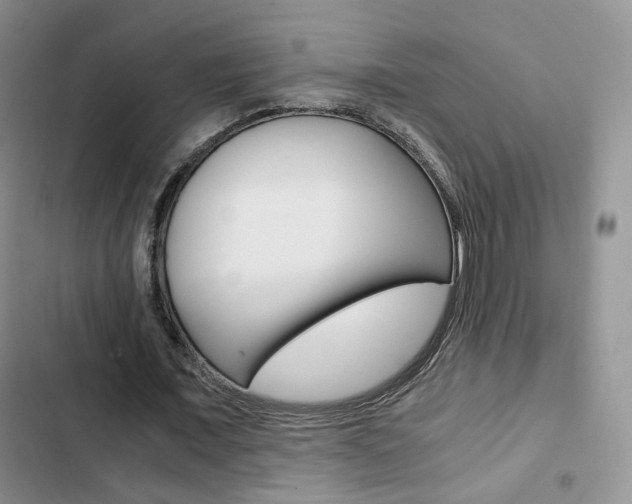 X0000103160675200808221152