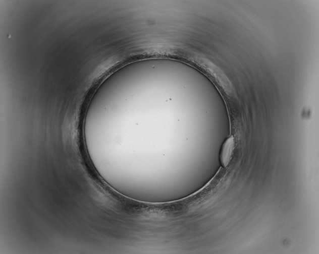 X0000103160677200808221152