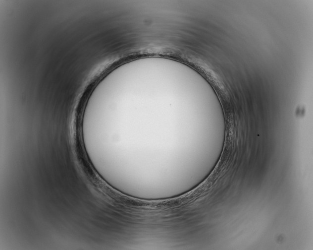 X0000103160678200808221152