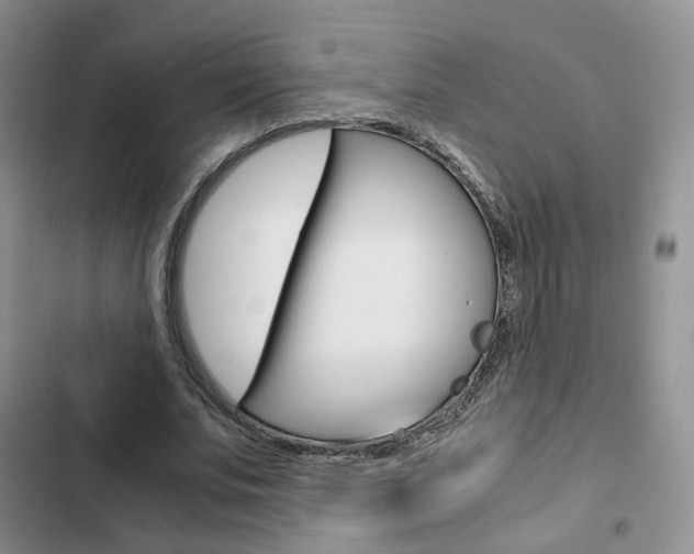 X0000103160679200808221152