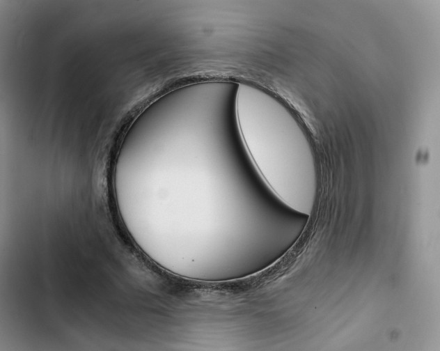 X0000103160681200808221152