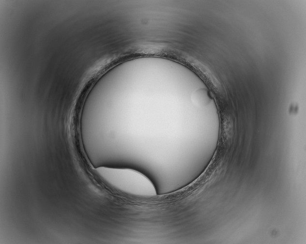 X0000103160682200808221152