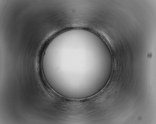 X0000103160684200808221152