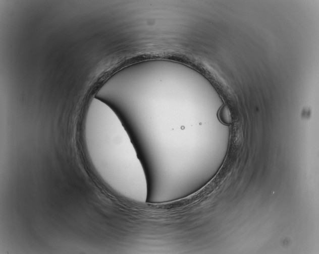 X0000103160685200808221152