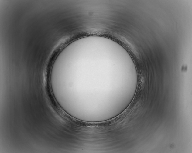 X0000103160686200808221152