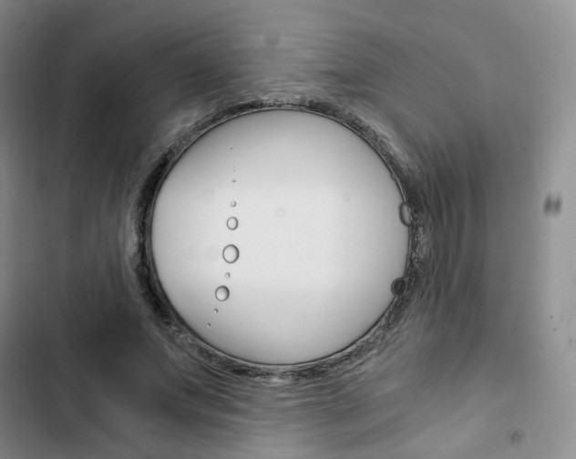 X0000103160687200808221152