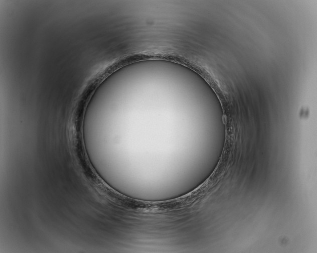 X0000103160688200808221152