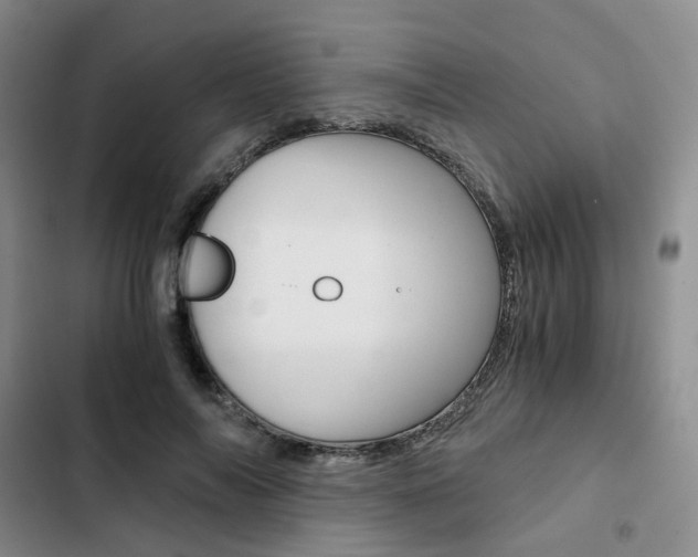 X0000103160694200808221152