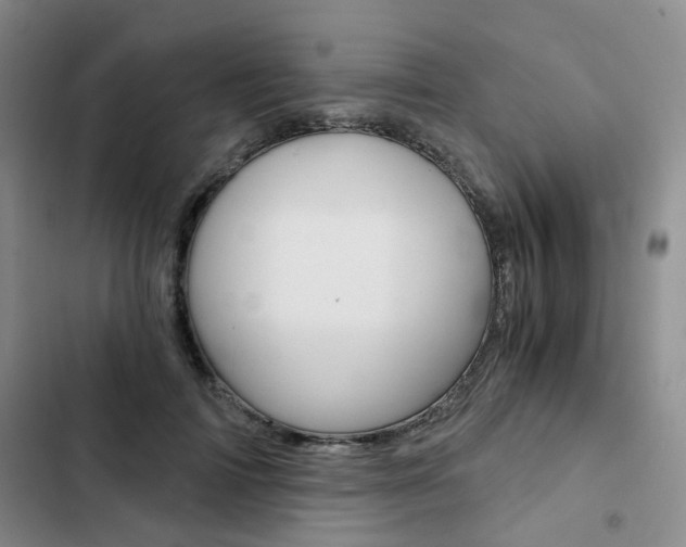 X0000103160698200808221152