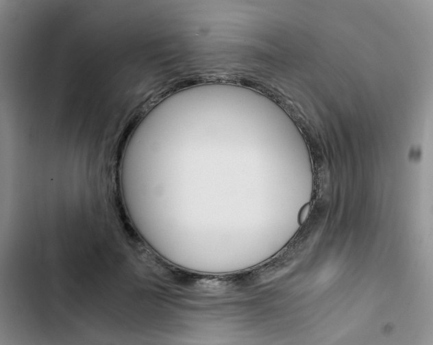 X0000103160699200808221152