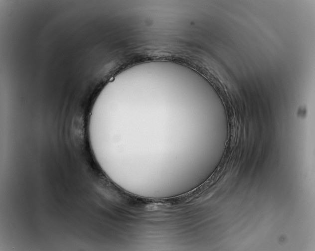 X0000103160700200808221152