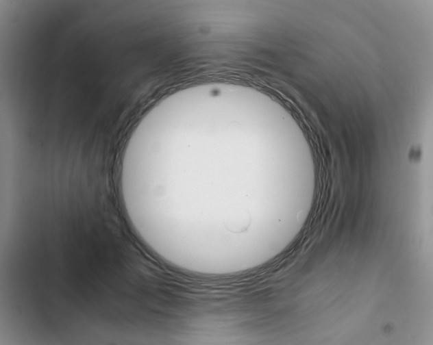 X0000103160701200808221152