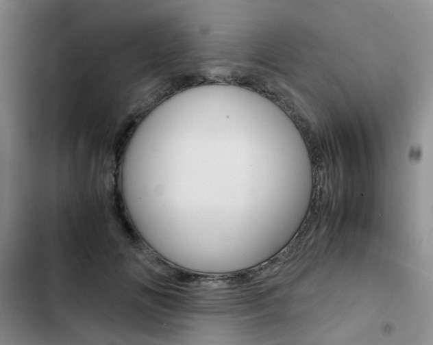 X0000103160702200808221152