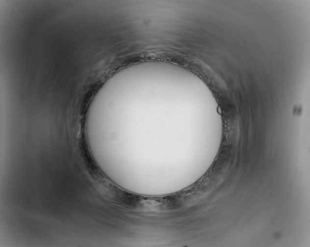 X0000103160703200808221152