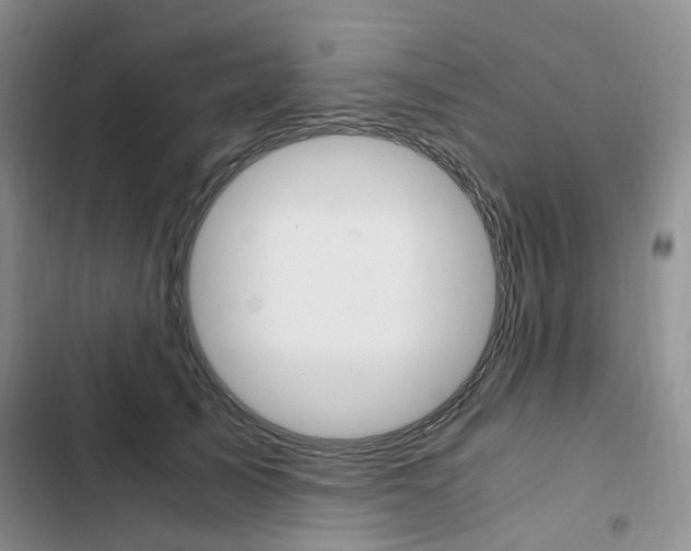 X0000103160705200808221152