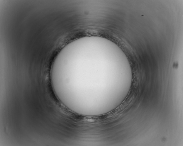 X0000103160706200808221152