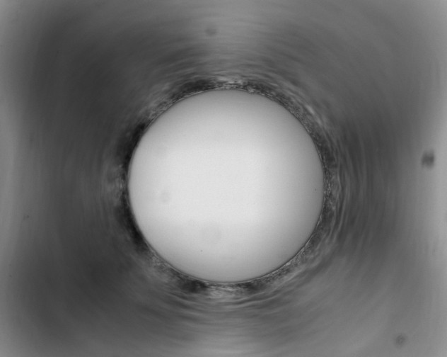 X0000103160707200808221152