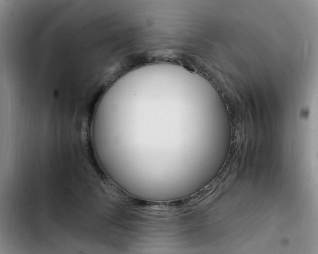 X0000103160708200808221152
