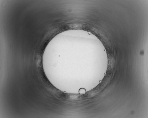 X0000103160709200808221152