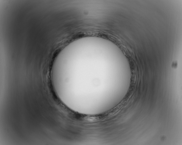 X0000103160711200808221152