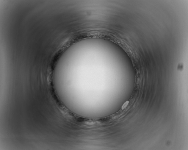 X0000103160712200808221152