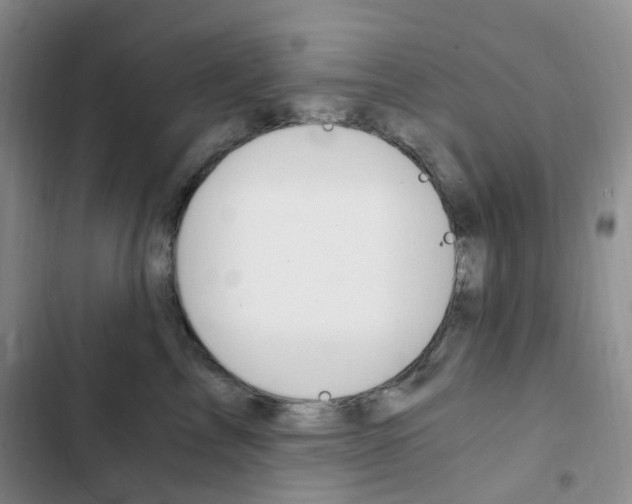 X0000103160713200808221152