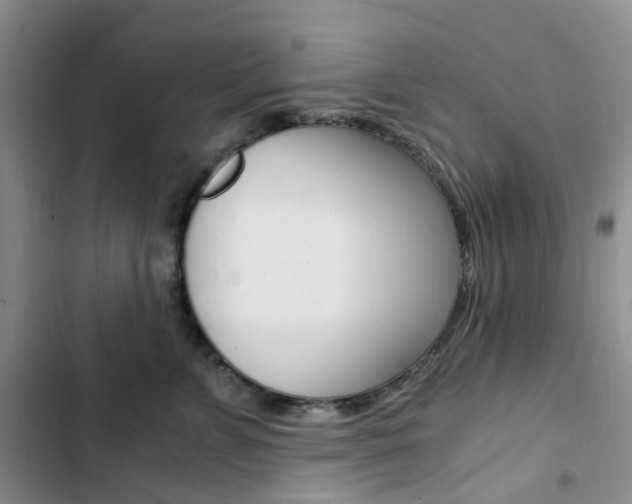 X0000103160715200808221152