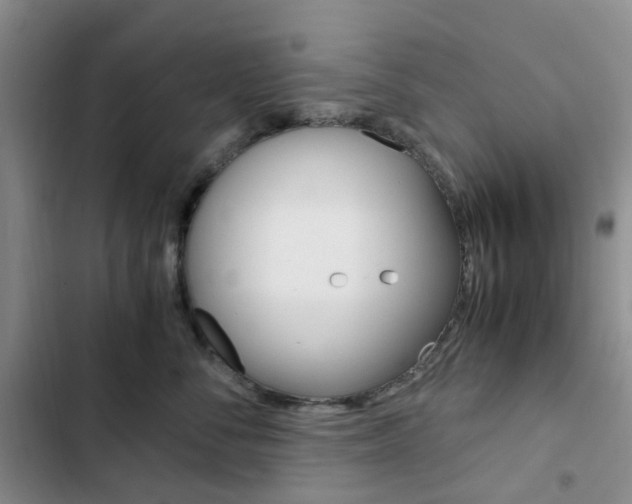 X0000103160716200808221152