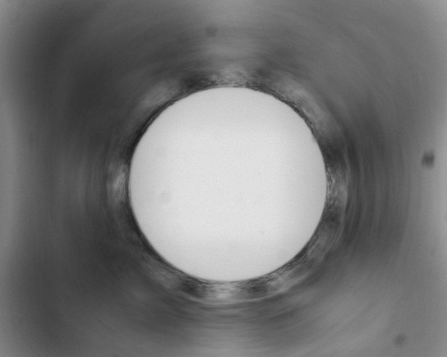 X0000103160717200808221152