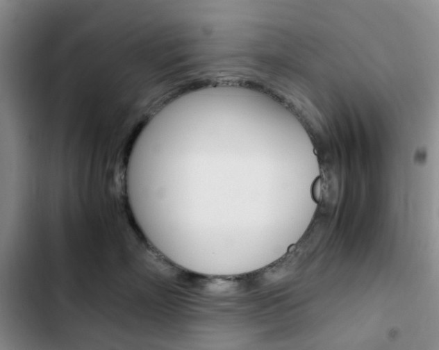 X0000103160718200808221152