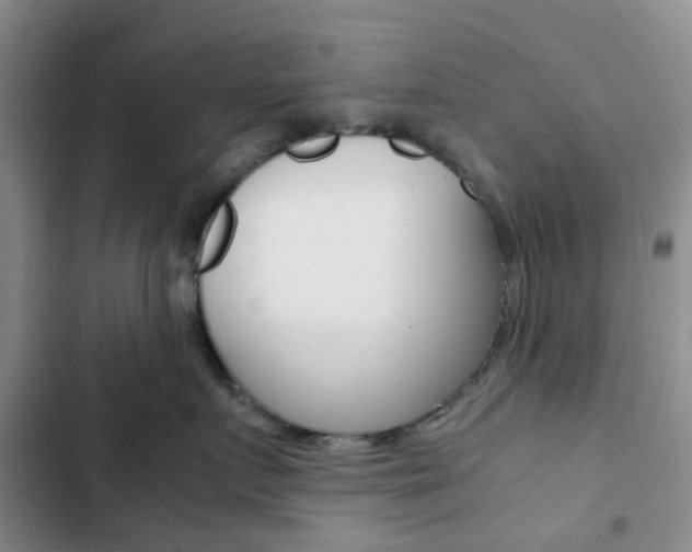 X0000103160719200808221152