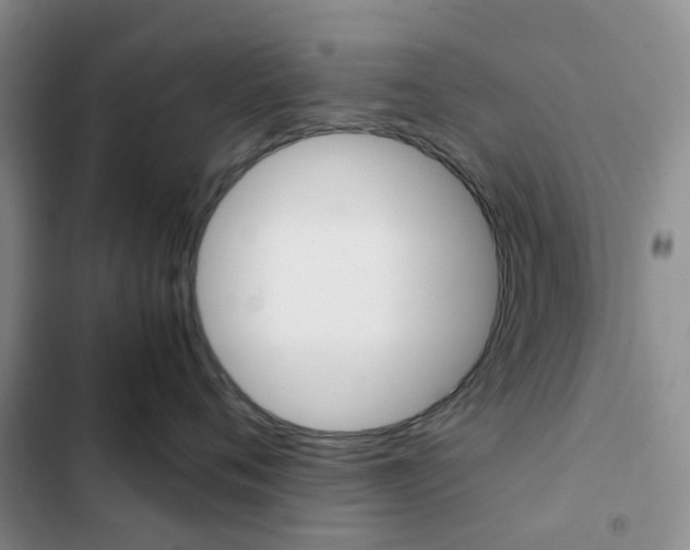 X0000103160720200808221152