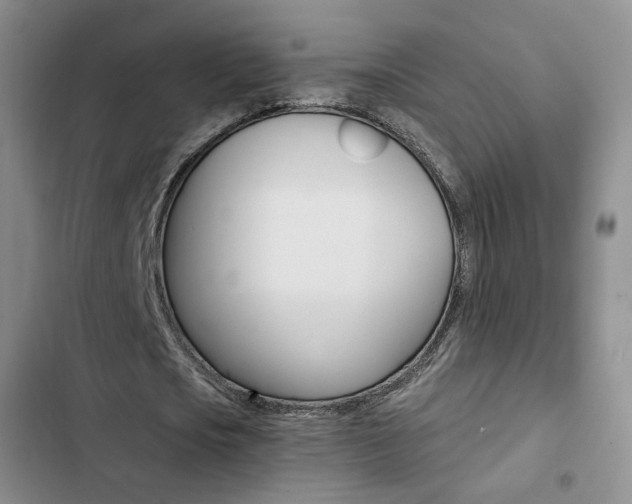 X0000103160721200808221151