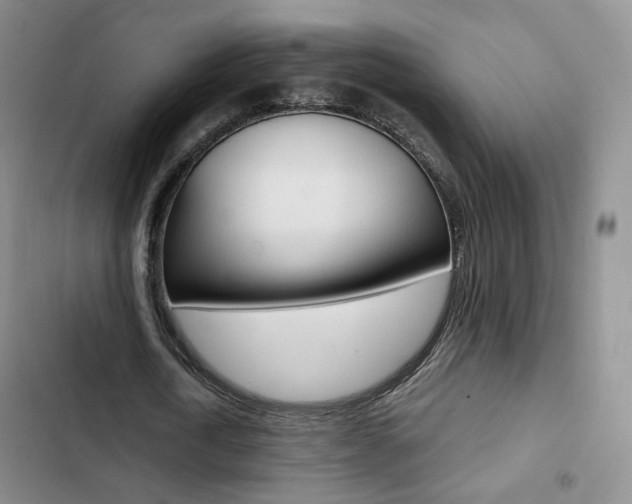 X0000103160722200808221151