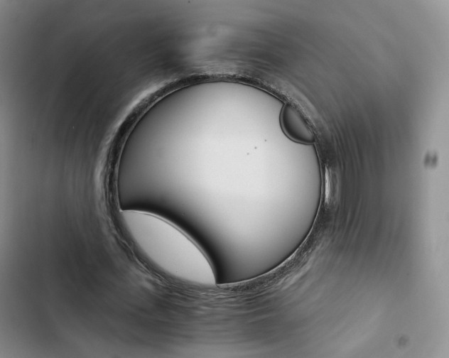 X0000103160723200808221151