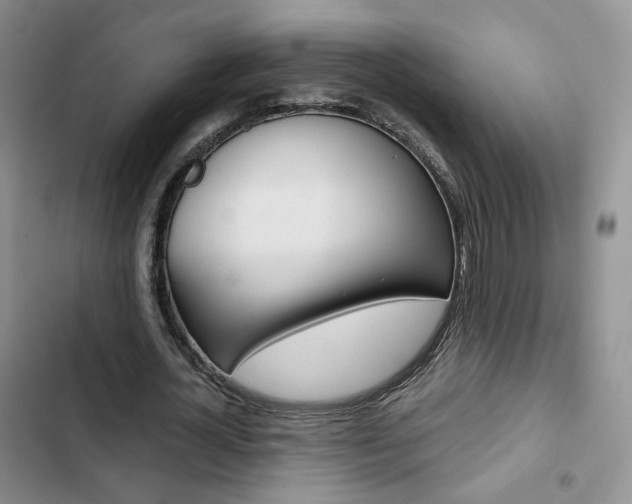 X0000103160724200808221151