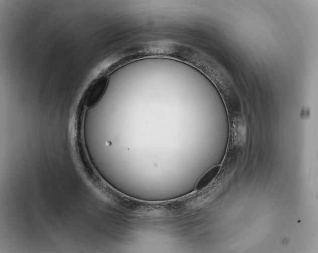 X0000103160726200808221151