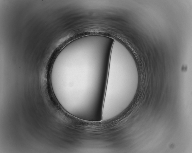 X0000103160727200808221151