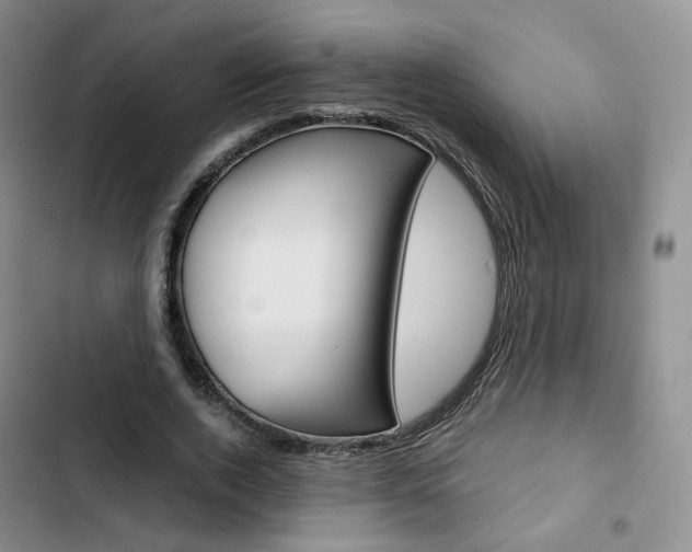 X0000103160728200808221151