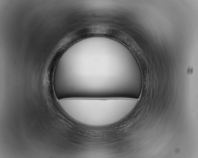 X0000103160731200808221151