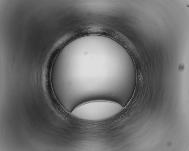 X0000103160732200808221151