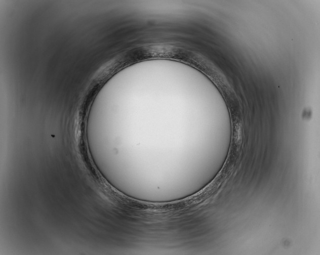 X0000103160733200808221151