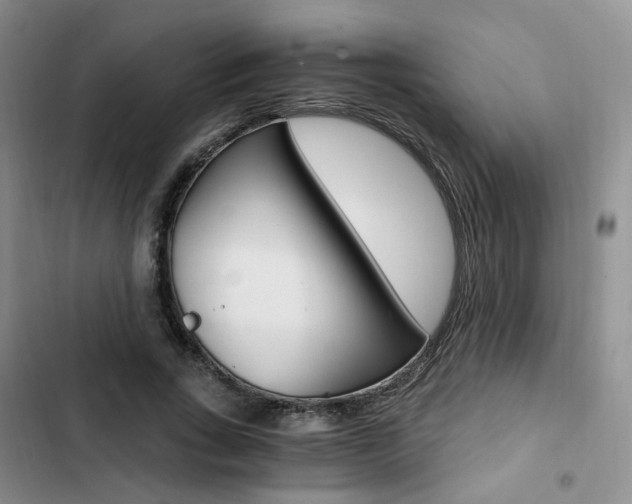 X0000103160735200808221151