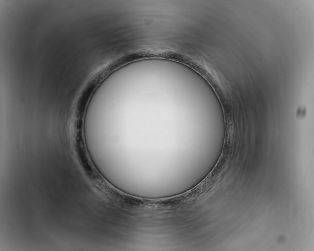 X0000103160736200808221151